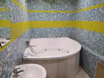 Дельфин - 18