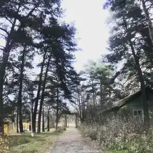 Улыбышево - 25