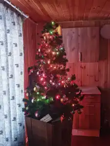 Едем в Киреевск - 26
