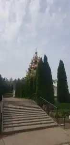 Донские просторы - 24