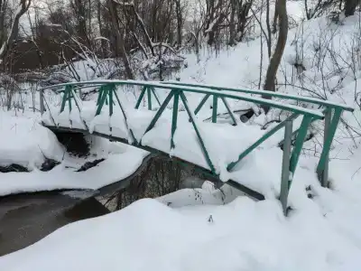 Зелёный остров - 68