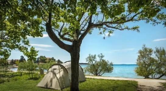 Padova Premium Camping Resort by Valamar - 3