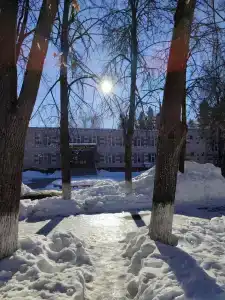 Городец - 24