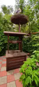 Морское Небо - 17