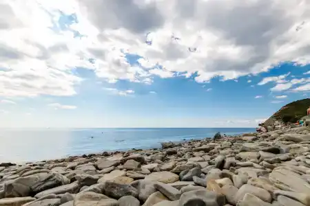 Сашенька - 1