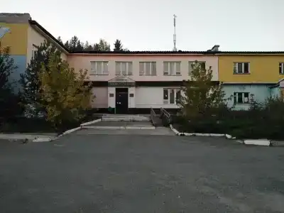 Тайга - 6