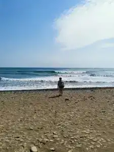 Кипарис - 5