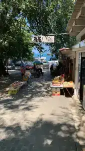Лазурный - 67