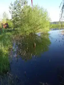 В Устье - 8