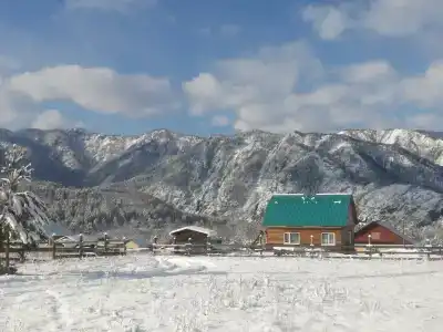 Чикмарёвых - 4