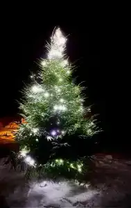 МайнДорф - Батаково - 34