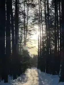 Нёмда - 22