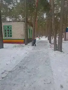 Ёлочка - 6