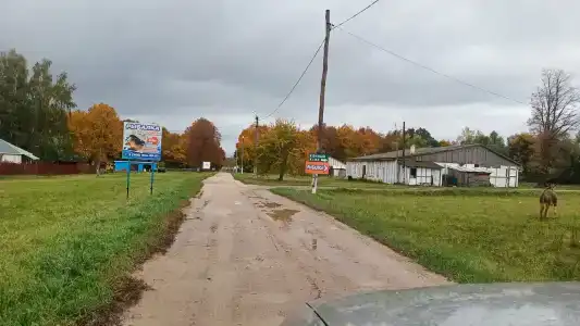 Бояринцево - 59