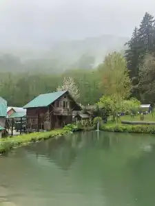 Рыбино - 0