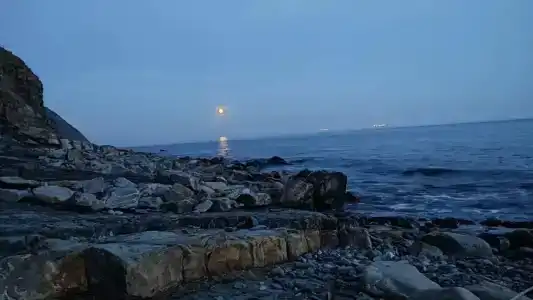 Лиманчик - 38