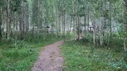 Причал - 42