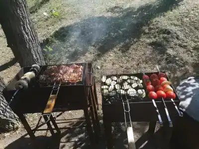 Волга - 13