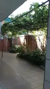 горный - 9