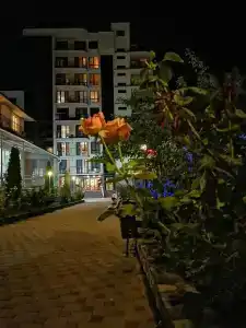 Фламинго - 46