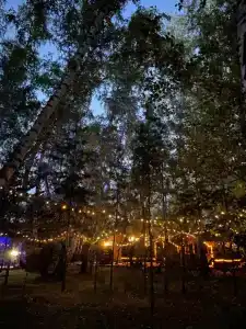 ForestHouse Лесной домик - 35