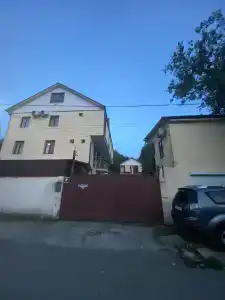 Пальма - 18