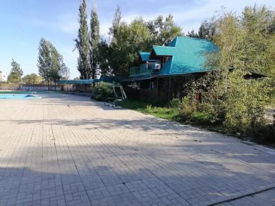 Березовые дали - 23