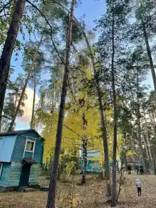 Прометей - 28
