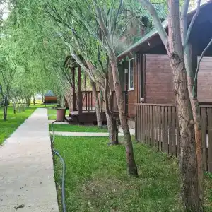 Мечта - 6