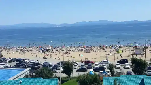 Звезда моря - 14