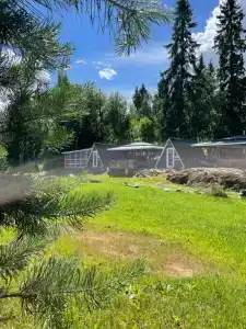 Лесная Поляна - 39