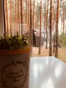 Elka Haus - 19