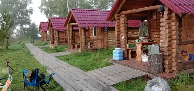 Лесные эльфы - 0