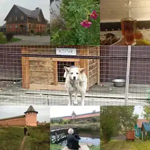 Любимый Суздаль - 16