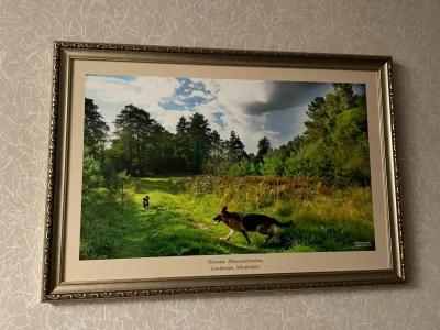 Виктория Олимп отель и бизнес-центр - 52