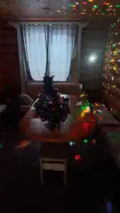 Татьянин дом - 78