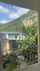 Green Garden - 26