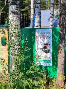 В лесу - 8