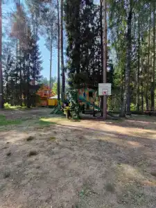 В лесу - 1
