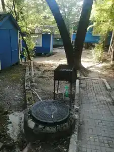 Золотое руно - 4