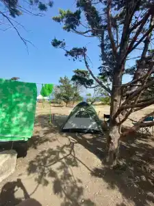 Тортуга - 52