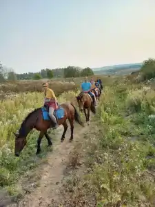 Конная база в Михайловском - 55