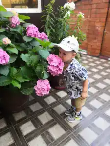 Дельфина - 17