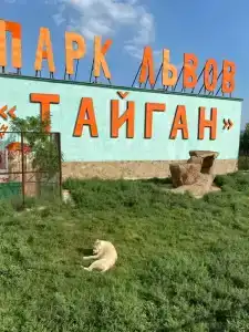 Сафари - 7