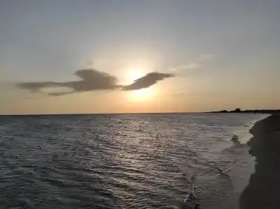 Paradise Beach - 43