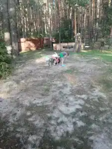 Сарин - 23
