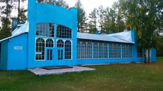 Спутник - 39