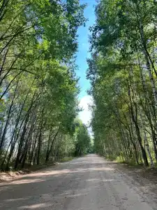 Черкасово - 2