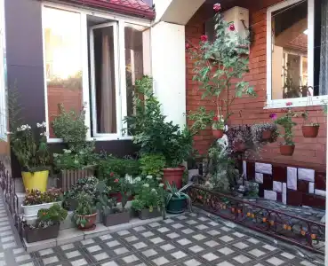 Дельфина - 19