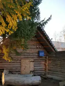 Живица - 25